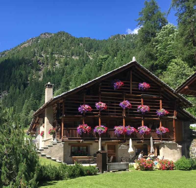 Wongade Hotel Gressoney-la-Trinité Екстериор снимка